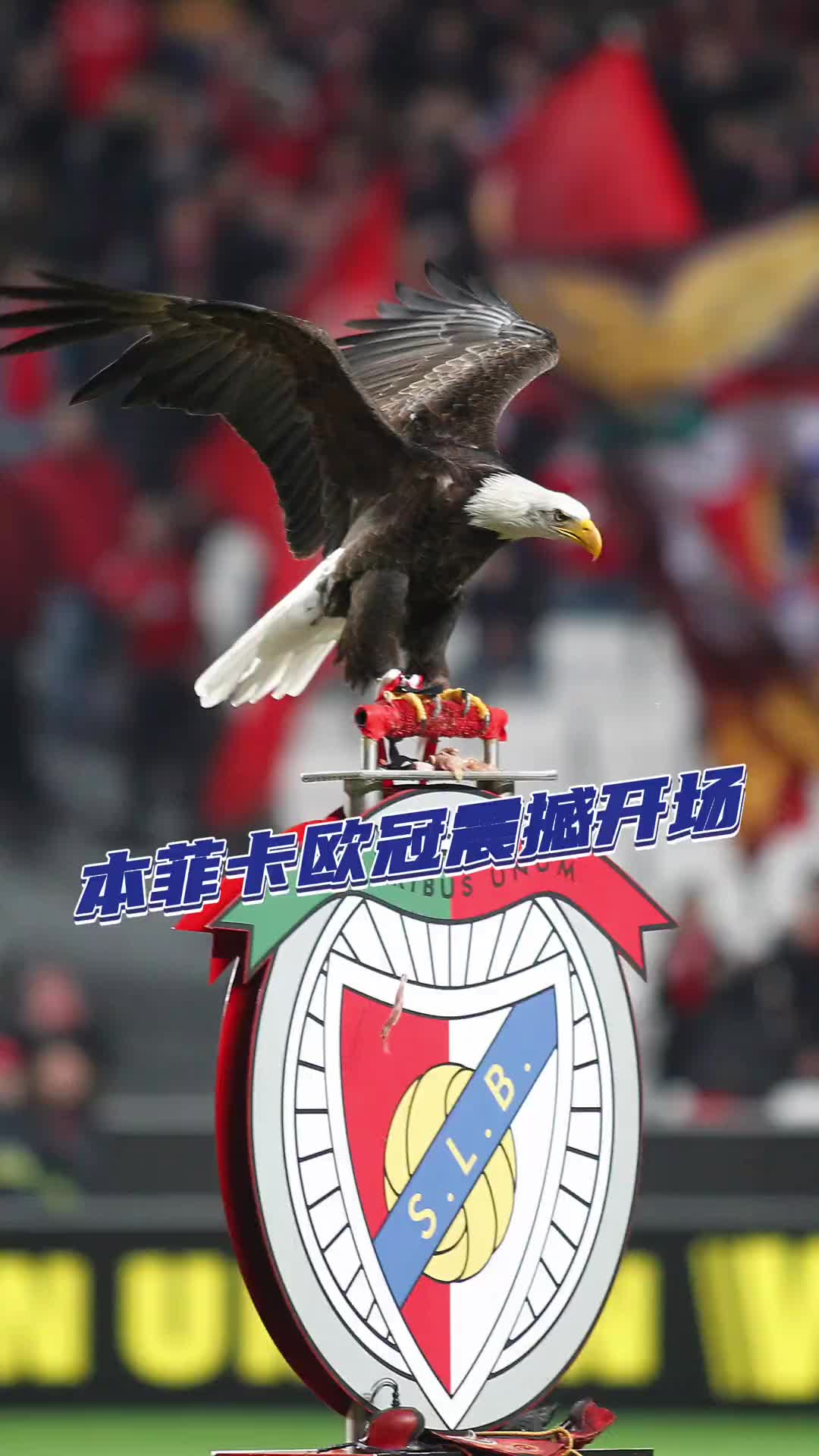 本菲卡开场5分钟连进两球，贝林厄姆防线形同虚设！的简单介绍
